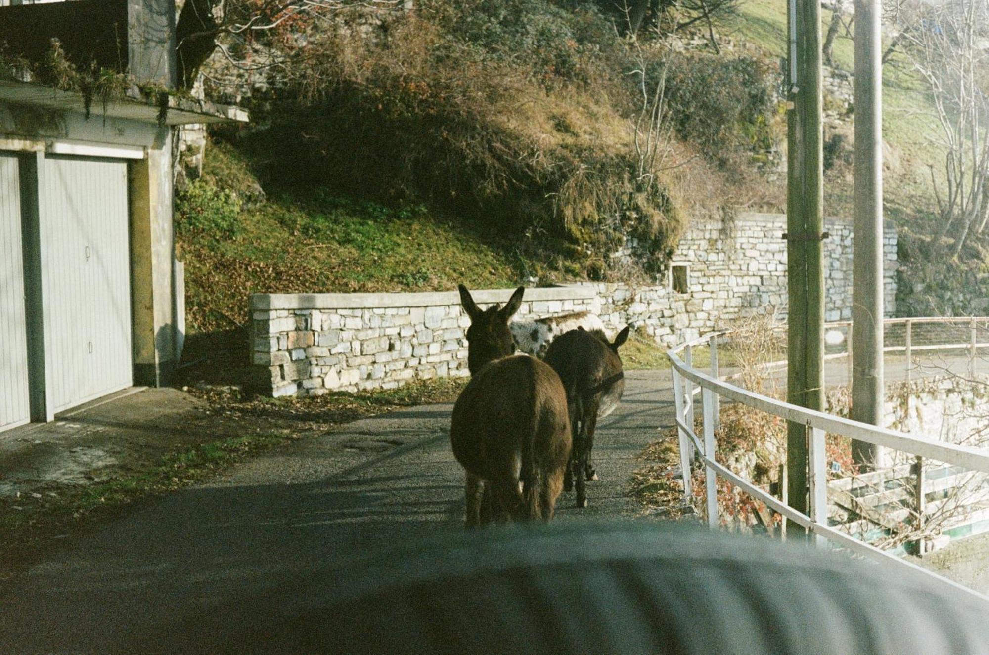 Villa Ca' Bossi Cernobbio Exterior foto